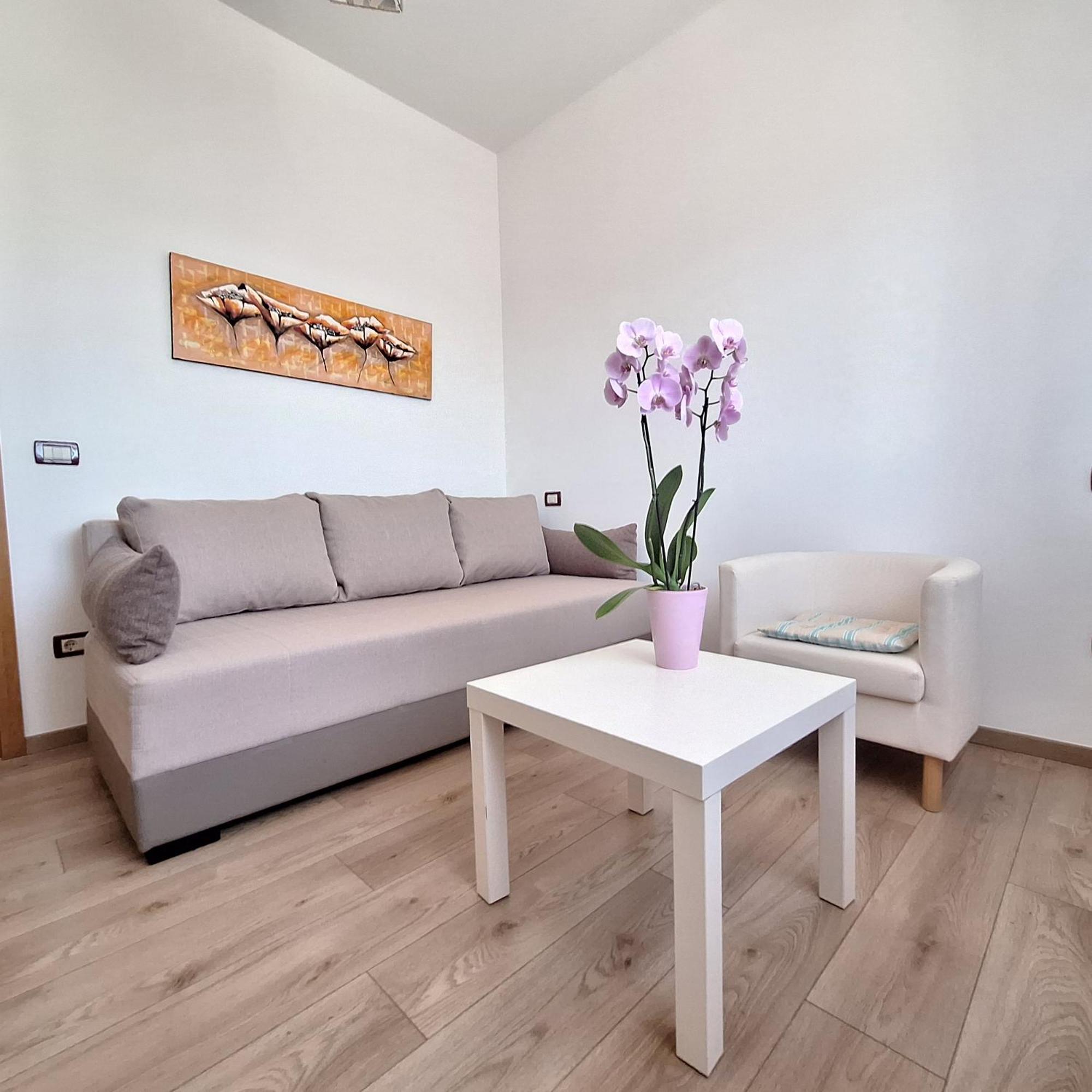 Apartment Mita Grožnjan Buitenkant foto